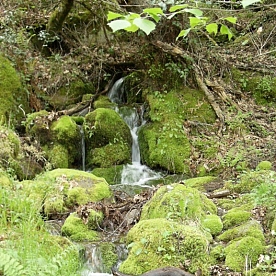 Ruta Cascada de Sotillo