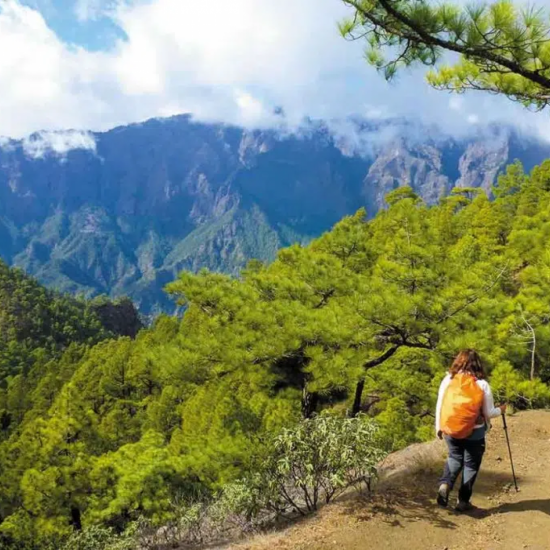 La Palma Special: seis rutas únicas por la Isla Bonita