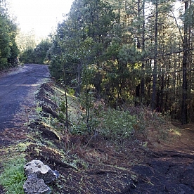 Ruta de los Volcanes