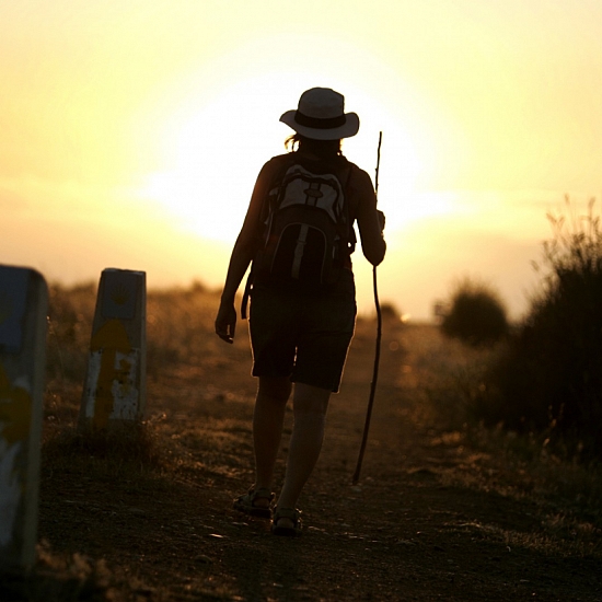 Últimos 100 km del Camino Francés: una experiencia inolvidable hasta Santiago