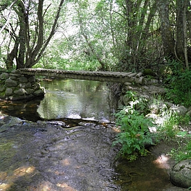 Ruta Puente - San Martín de Castañeda por los Caminos Tradicionales