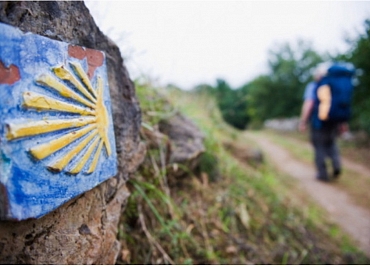 El Camino de Santiago, en una guía mágica