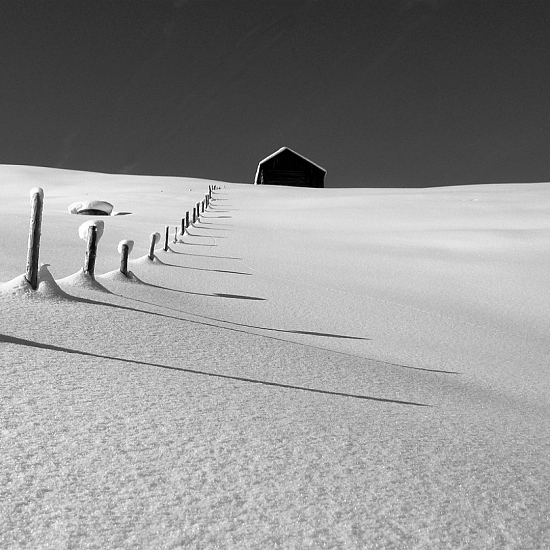 Nieve