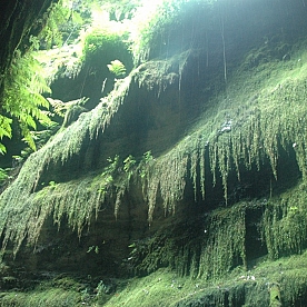 El Bosque Encantado