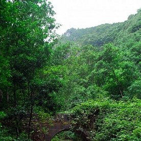 El Bosque Encantado