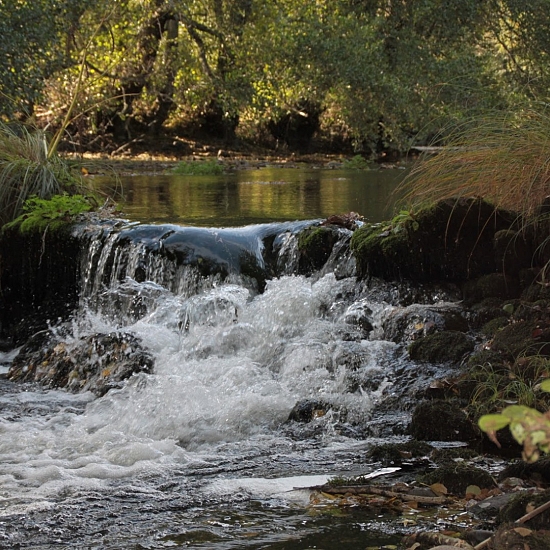 Ruta El Puente de Sanabria - San Martín de Castañeda por los Caminos Tradicionales (Sanabria)