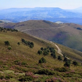 Camino Primitivo