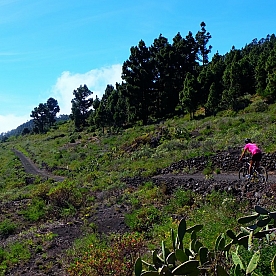 Por Tierra de Volcanes y Vinos (Isla de Palma en Bicicleta)