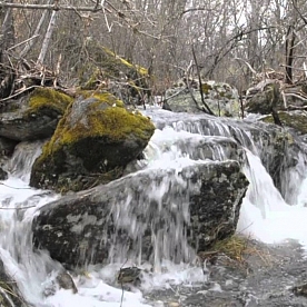 El Río Tera a su paso por Galende